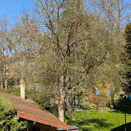 La Maison D'A Cote Saint-Amand-en-Puisaye Kültér fotó