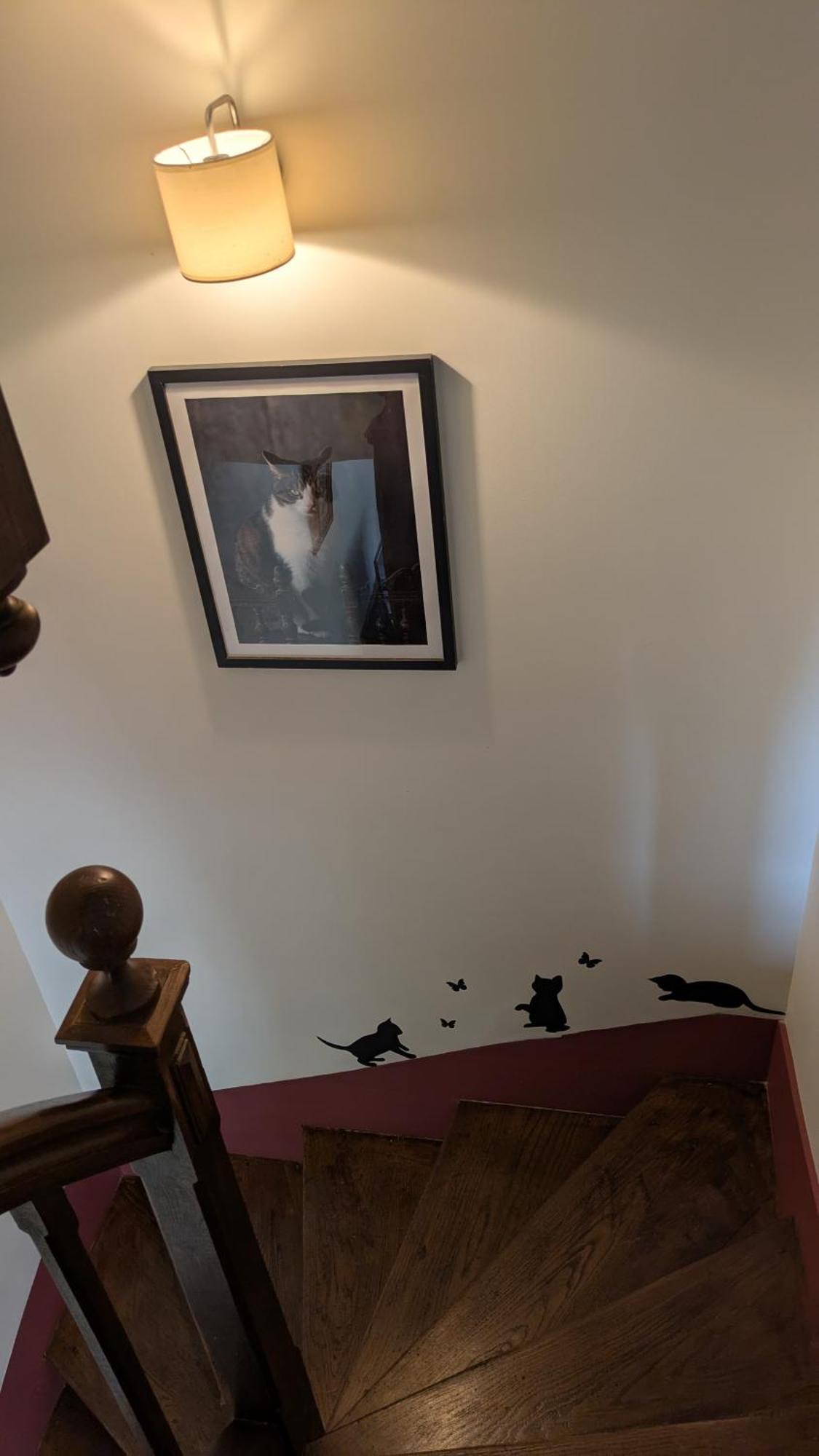 La Maison D'A Cote Saint-Amand-en-Puisaye Kültér fotó